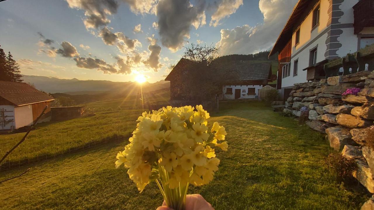 Schweizer Hof Appartement Tamsweg Buitenkant foto